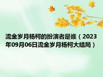 流金岁月杨柯的扮演者是谁（2023年09月06日流金岁月杨柯大结局）