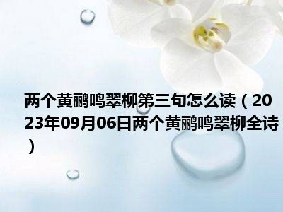 两个黄鹂鸣翠柳第三句怎么读（2023年09月06日两个黄鹂鸣翠柳全诗）