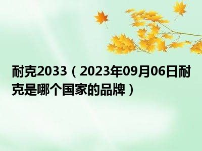 耐克2033（2023年09月06日耐克是哪个国家的品牌）