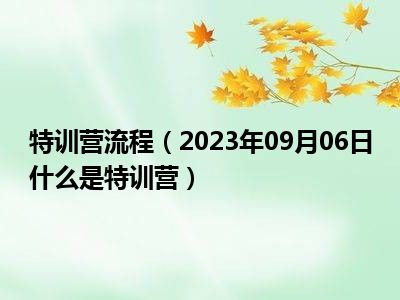 特训营流程（2023年09月06日什么是特训营）