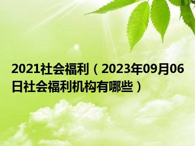 2021社会福利（2023年09月06日社会福利机构有哪些）