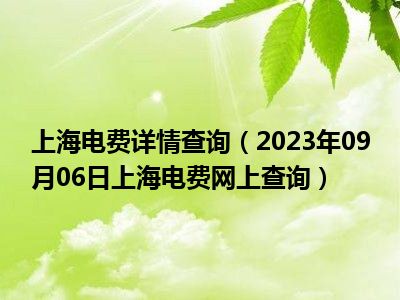 上海电费详情查询（2023年09月06日上海电费网上查询）