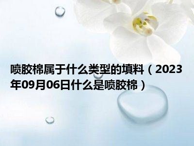 喷胶棉属于什么类型的填料（2023年09月06日什么是喷胶棉）