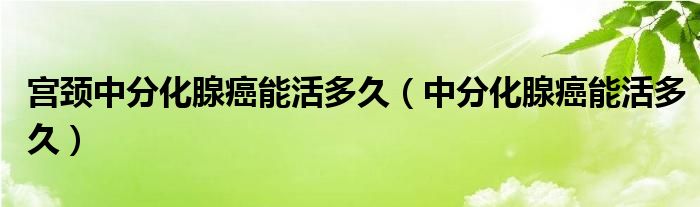  宫颈中分化腺癌能活多久（中分化腺癌能活多久）