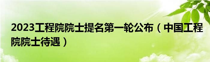  2023工程院院士提名第一轮公布（中国工程院院士待遇）