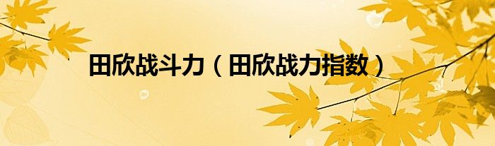  田欣战斗力（田欣战力指数）