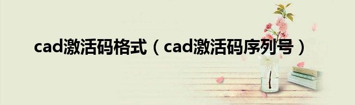  cad激活码格式（cad激活码序列号）