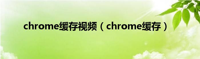  chrome缓存视频（chrome缓存）