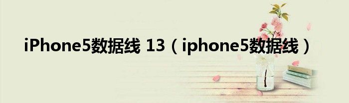  iPhone5数据线 13（iphone5数据线）