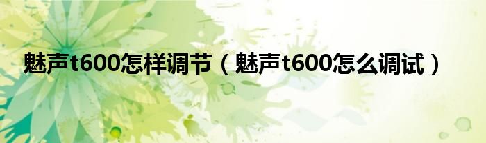  魅声t600怎样调节（魅声t600怎么调试）