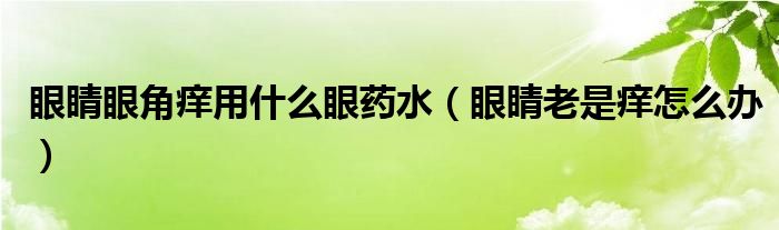  眼睛眼角痒用什么眼药水（眼睛老是痒怎么办）