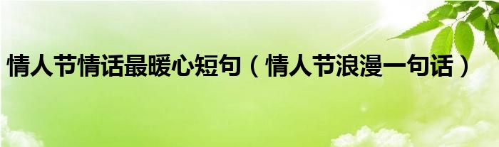  情人节情话最暖心短句（情人节浪漫一句话）