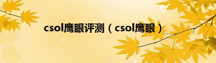  csol鹰眼评测（csol鹰眼）