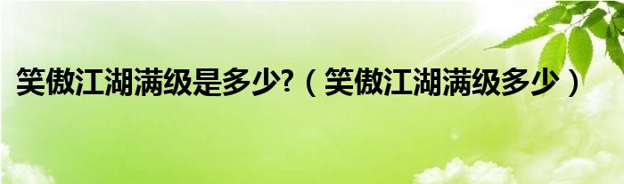  笑傲江湖满级是多少 （笑傲江湖满级多少）