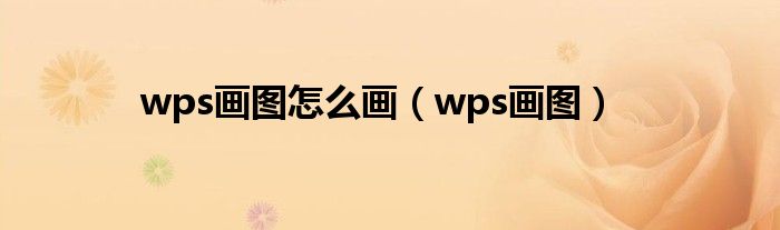  wps画图怎么画（wps画图）