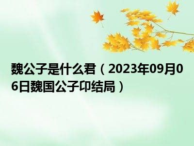 魏公子是什么君（2023年09月06日魏国公子卬结局）