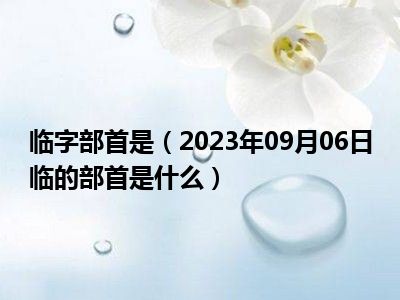 临字部首是（2023年09月06日临的部首是什么）