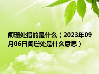 阑珊处指的是什么（2023年09月06日阑珊处是什么意思）