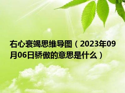 右心衰竭思维导图（2023年09月06日骄傲的意思是什么）