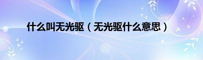  什么叫无光驱（无光驱什么意思）