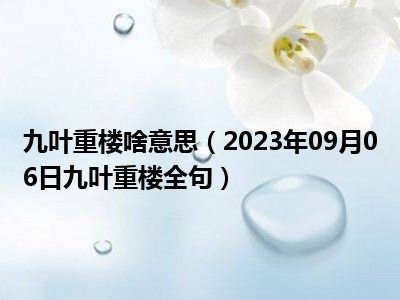 九叶重楼啥意思（2023年09月06日九叶重楼全句）