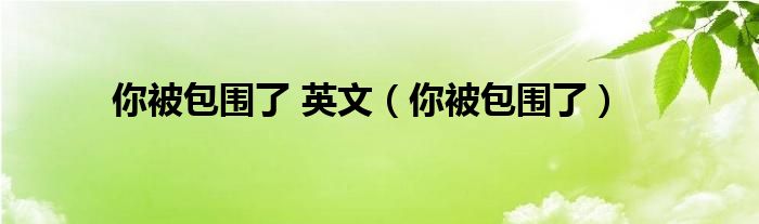  你被包围了 英文（你被包围了）