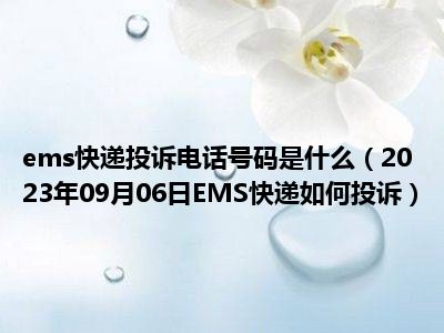 ems快递投诉电话号码是什么（2023年09月06日EMS快递如何投诉）