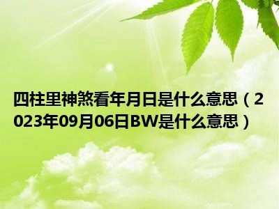 四柱里神煞看年月日是什么意思（2023年09月06日BW是什么意思）