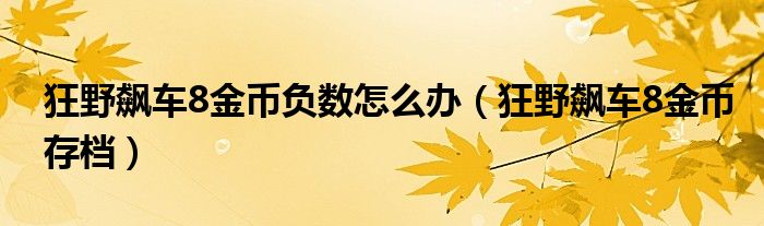  狂野飙车8金币负数怎么办（狂野飙车8金币存档）