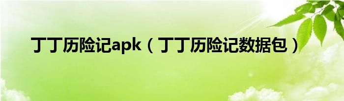  丁丁历险记apk（丁丁历险记数据包）