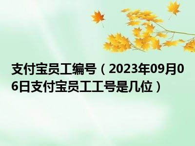 支付宝员工编号（2023年09月06日支付宝员工工号是几位）