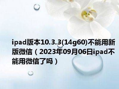 ipad版本10.3.3(14g60)不能用新版微信（2023年09月06日ipad不能用微信了吗）