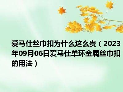 爱马仕丝巾扣为什么这么贵（2023年09月06日爱马仕单环金属丝巾扣的用法）