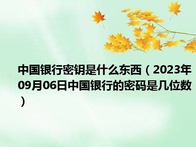 中国银行密钥是什么东西（2023年09月06日中国银行的密码是几位数）