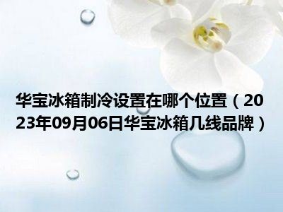 华宝冰箱制冷设置在哪个位置（2023年09月06日华宝冰箱几线品牌）