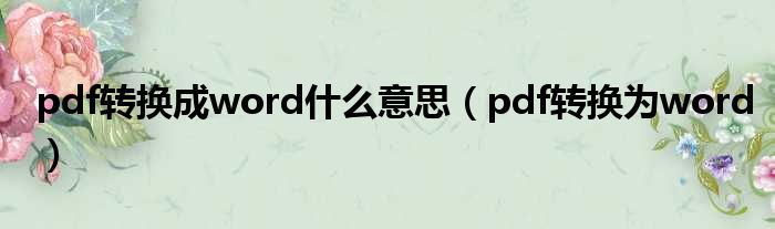 pdf转换成word什么意思（pdf转换为word）