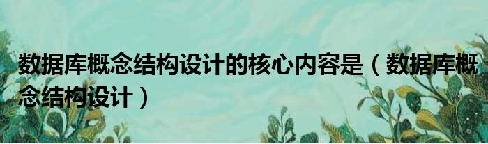 数据库概念结构设计的核心内容是（数据库概念结构设计）