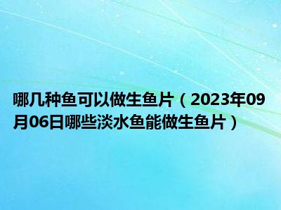 哪几种鱼可以做生鱼片（2023年09月06日哪些淡水鱼能做生鱼片）