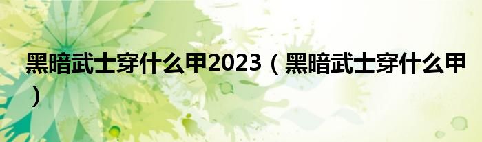  黑暗武士穿什么甲2023（黑暗武士穿什么甲）