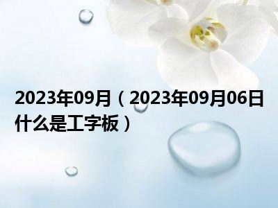 2023年09月（2023年09月06日什么是工字板）