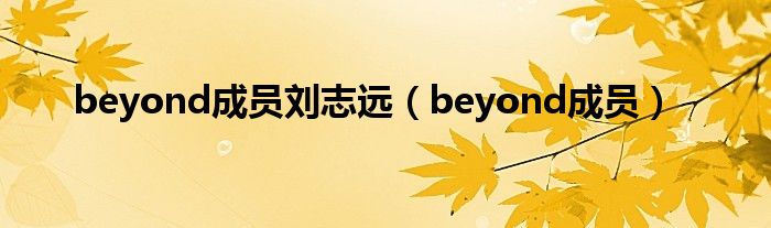  beyond成员刘志远（beyond成员）