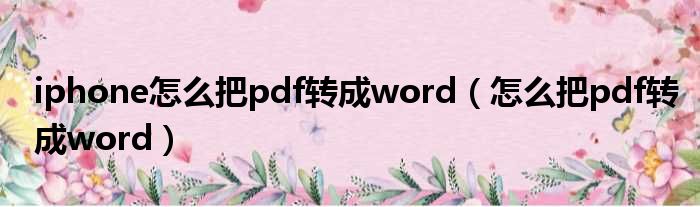 iphone怎么把pdf转成word（怎么把pdf转成word）