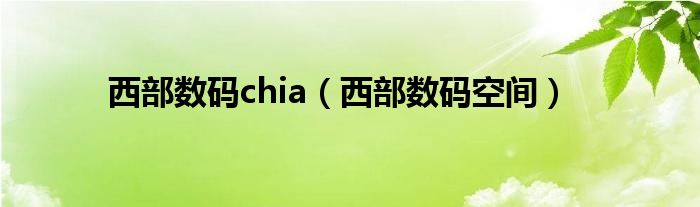  西部数码chia（西部数码空间）