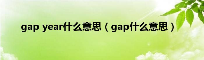 gap year什么意思（gap什么意思）