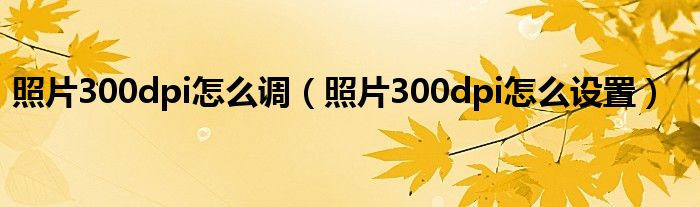  照片300dpi怎么调（照片300dpi怎么设置）