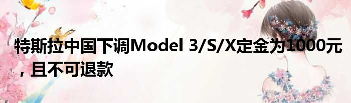 特斯拉中国下调Model 3/S/X定金为1000元 且不可退款