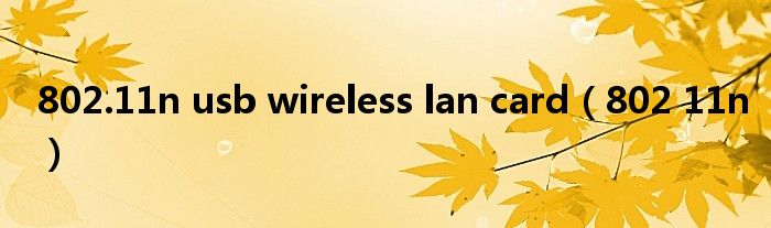  802.11n usb wireless lan card（802 11n）