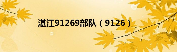  湛江91269部队（9126）