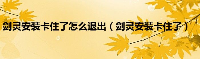  剑灵安装卡住了怎么退出（剑灵安装卡住了）