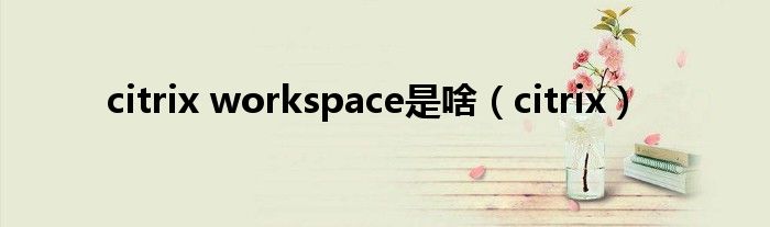  citrix workspace是啥（citrix）